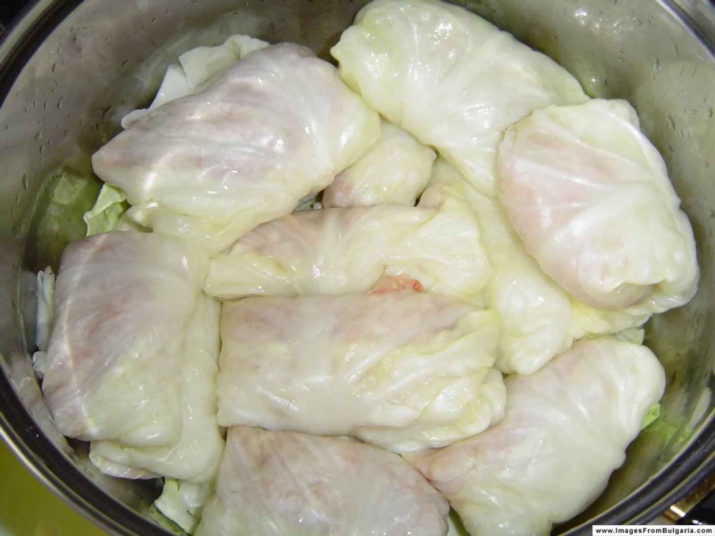 Cabbage Rolls in Yogurt Sauce (Sarmi) prepared recipe