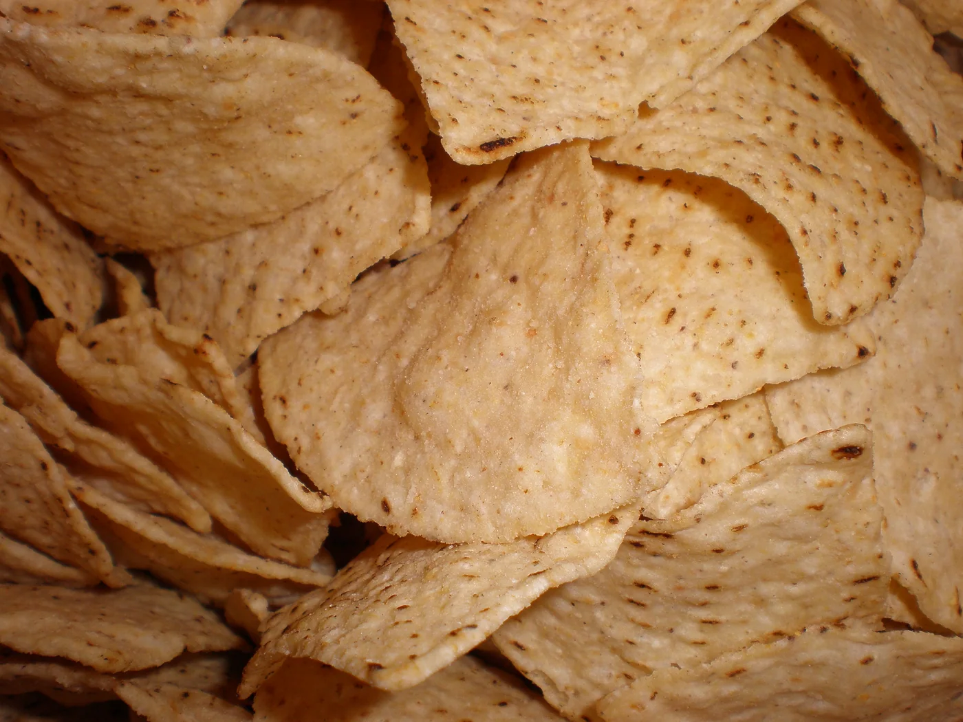 Homemade Tortilla Chips prepared recipe