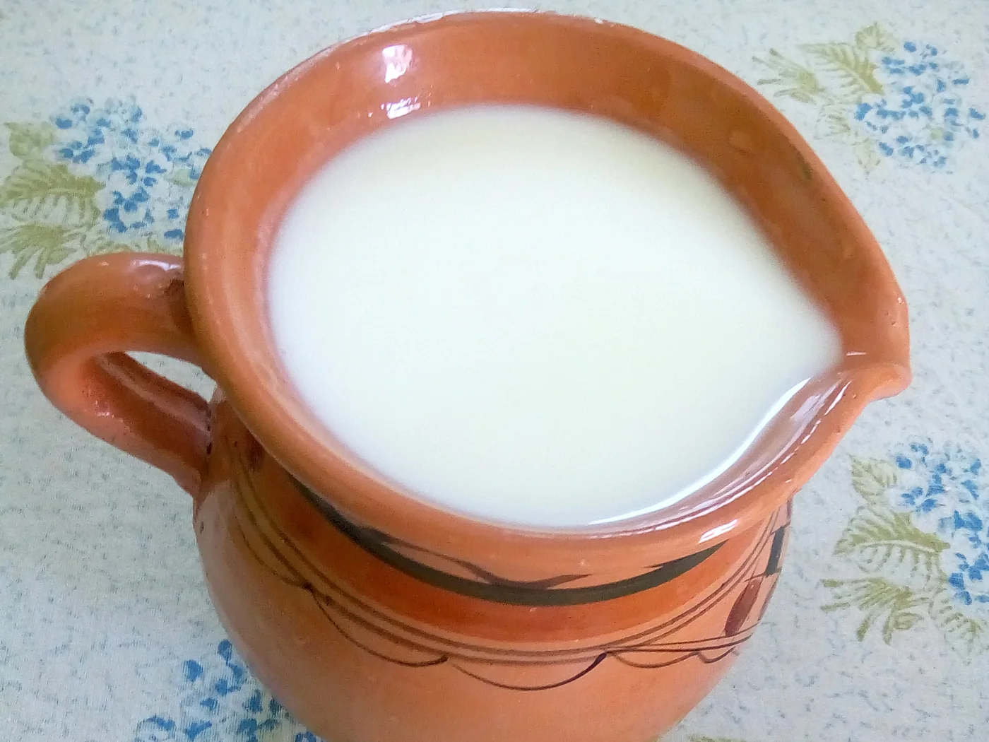 Leben (Middle Eastern Sour Milk) prepared recipe