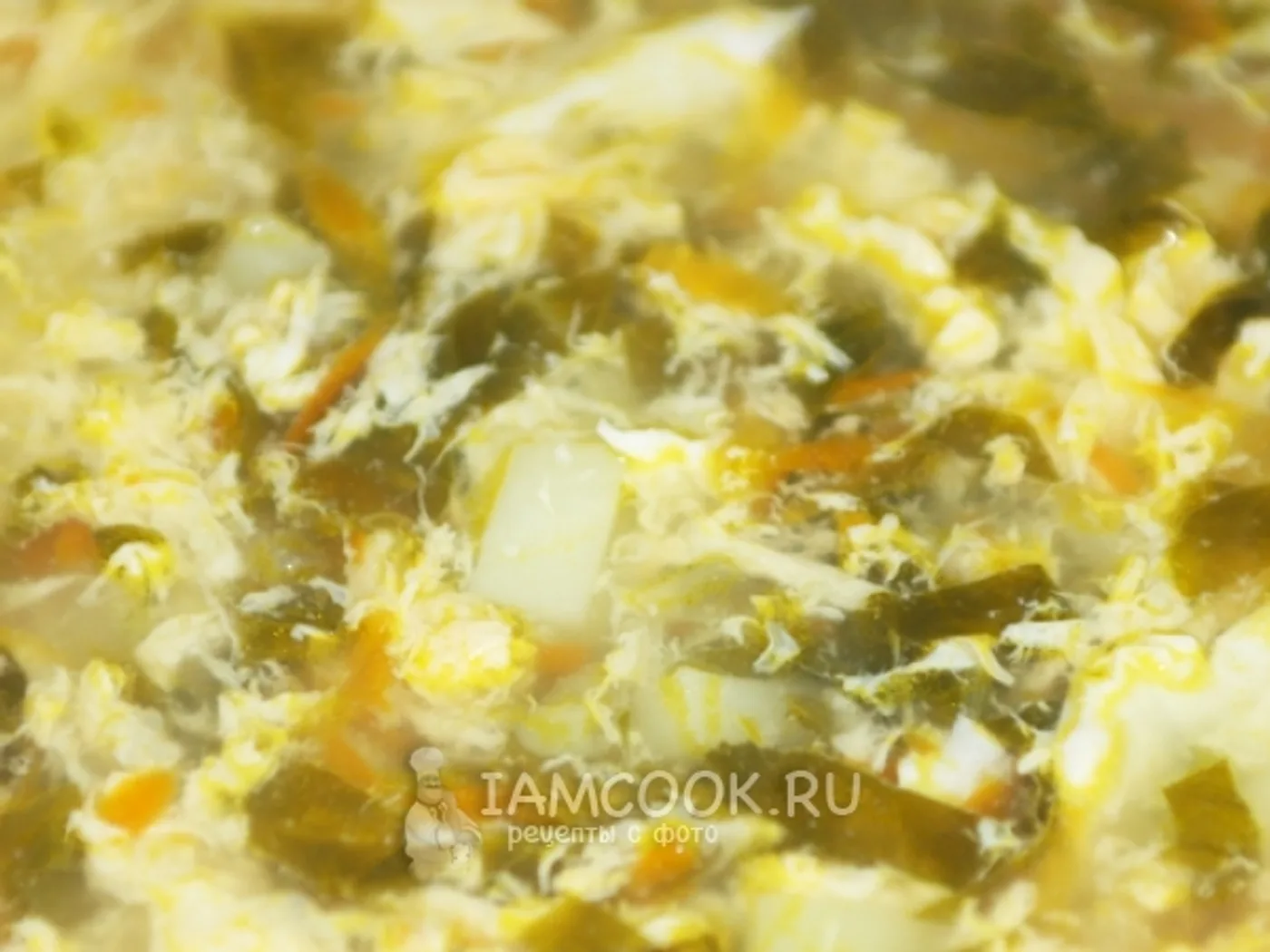 Oxalous soup with an egg (classic recipe) recipe