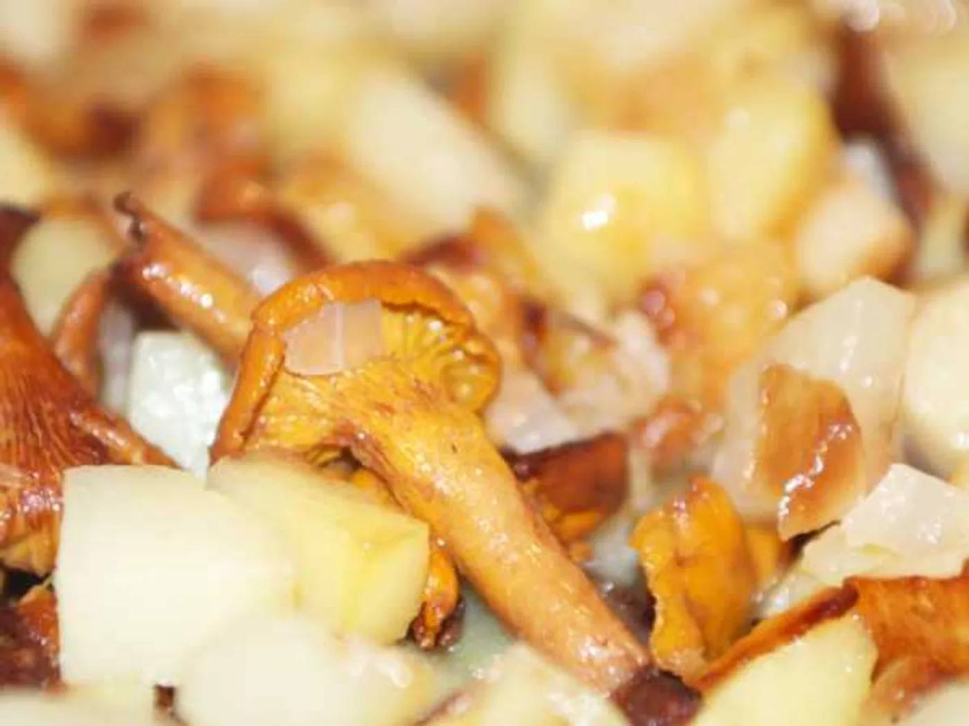 Potatoes fried with foxes recipe