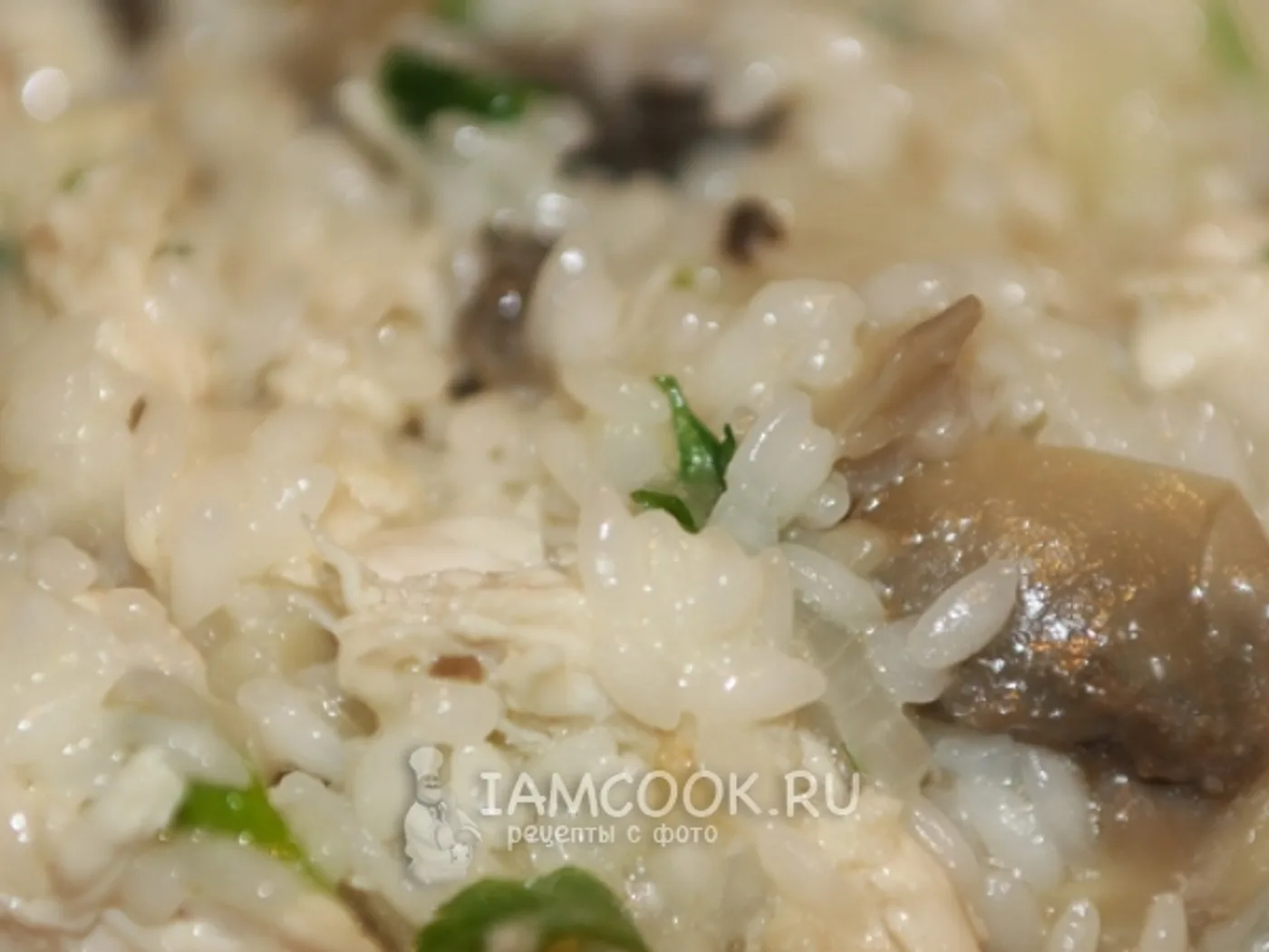 Risotto with mushrooms and chicken recipe