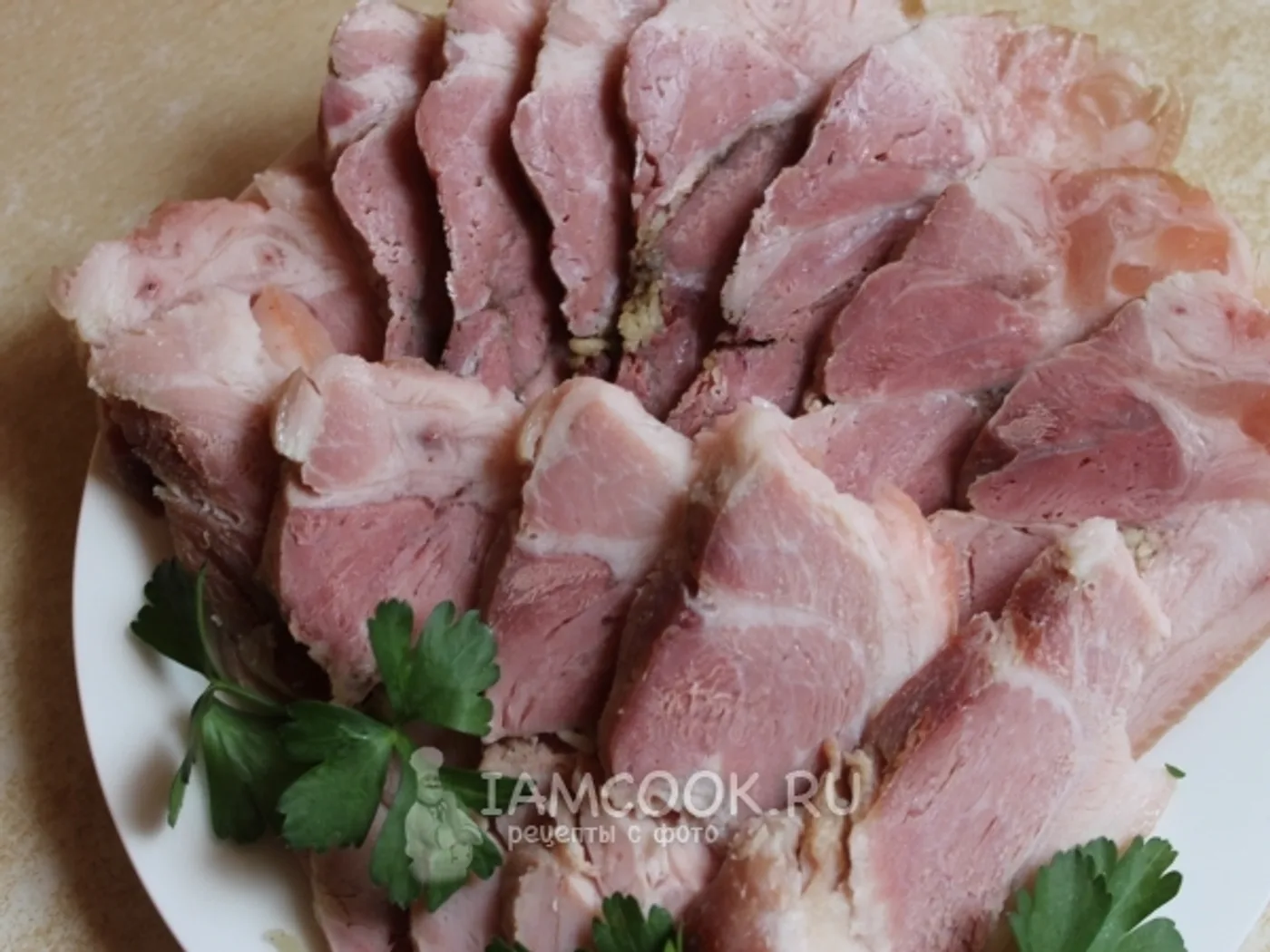 Saltison from the pork handlebar recipe