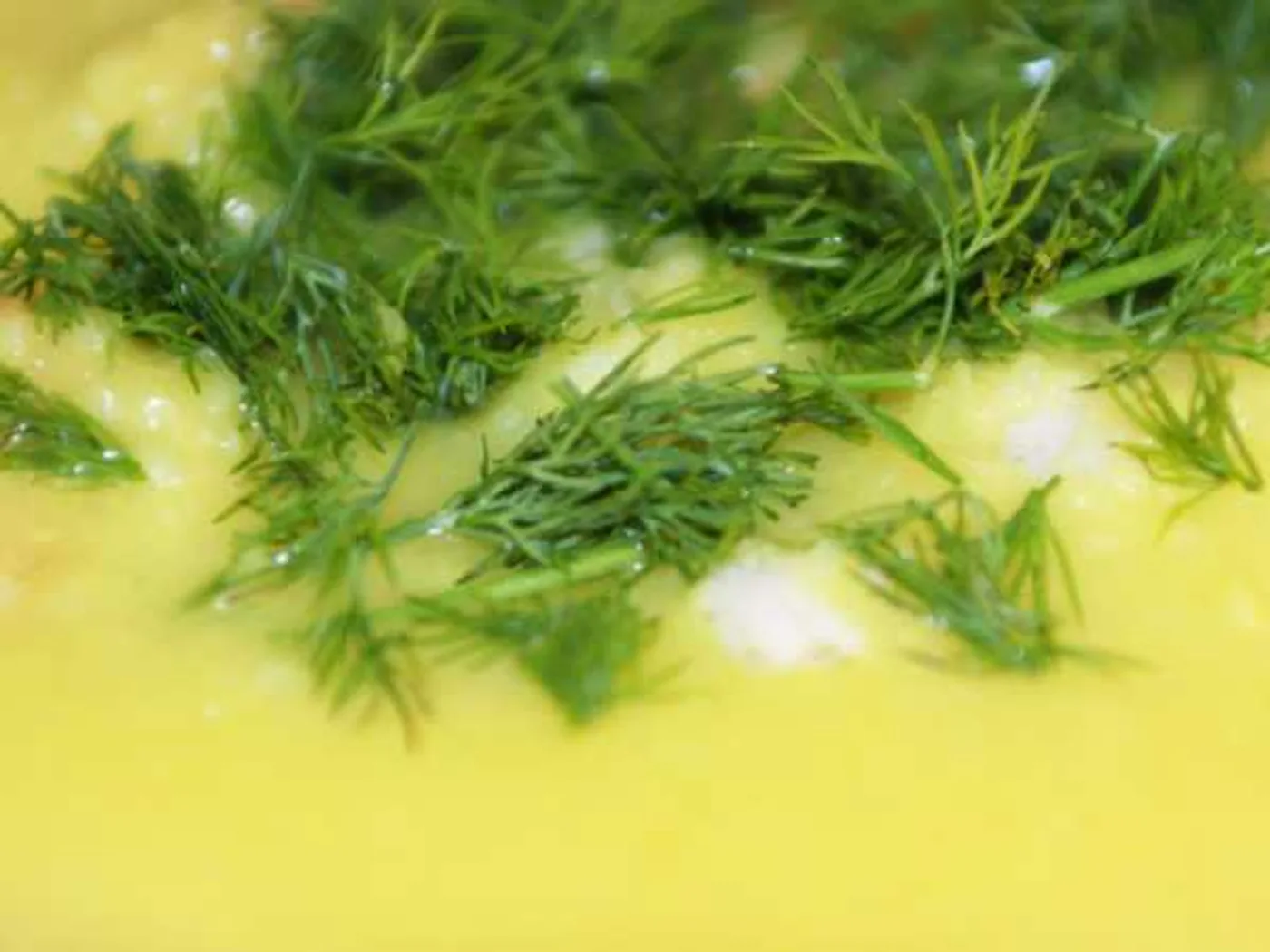 Zucchini zucchini squash soup recipe