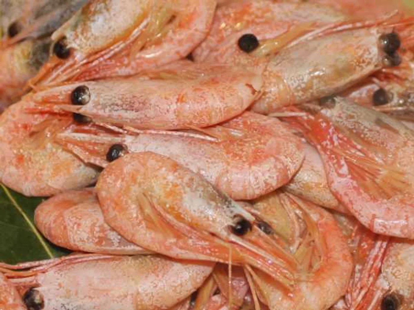Boiled shrimp for beer recipe