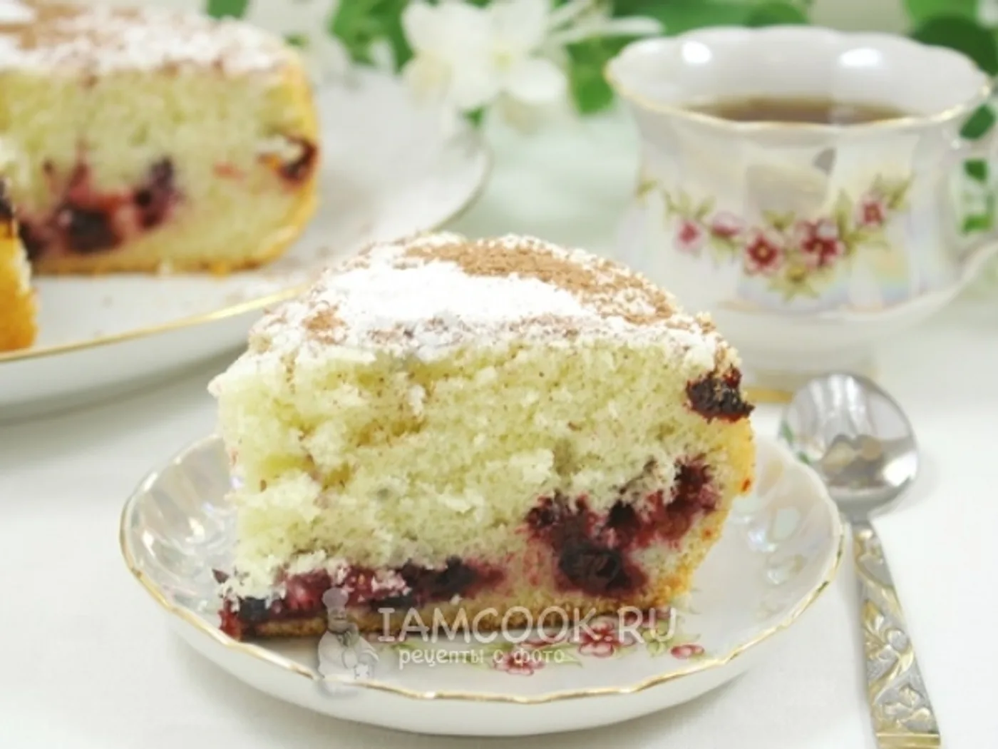 Charlotte with black currant in a multicooker recipe