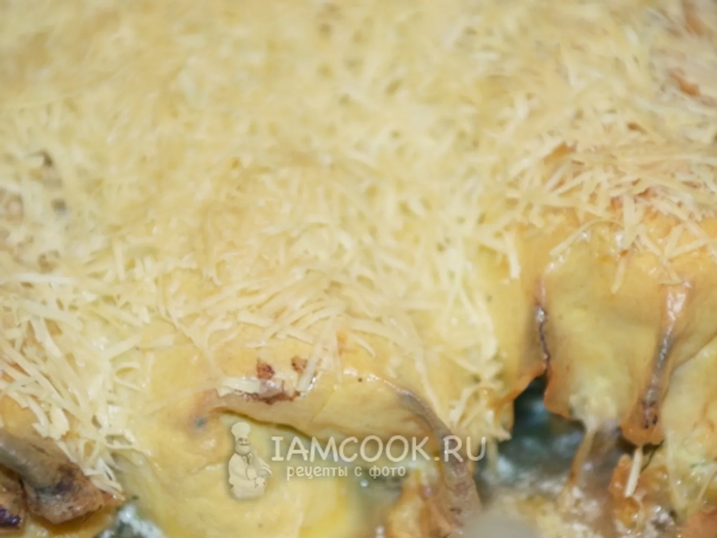 Chicken breezole recipe