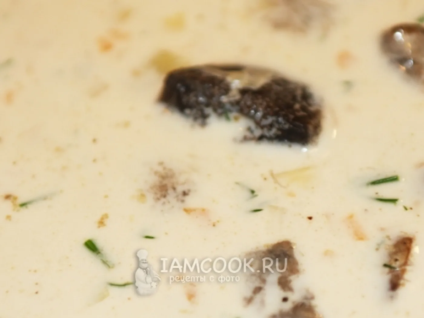 Creamy cheese soup with mushrooms: white, subsberries, subsinovics recipe