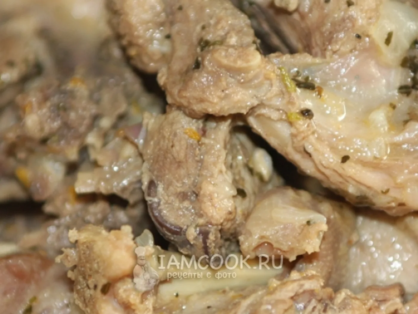 Duck stewed in pieces recipe