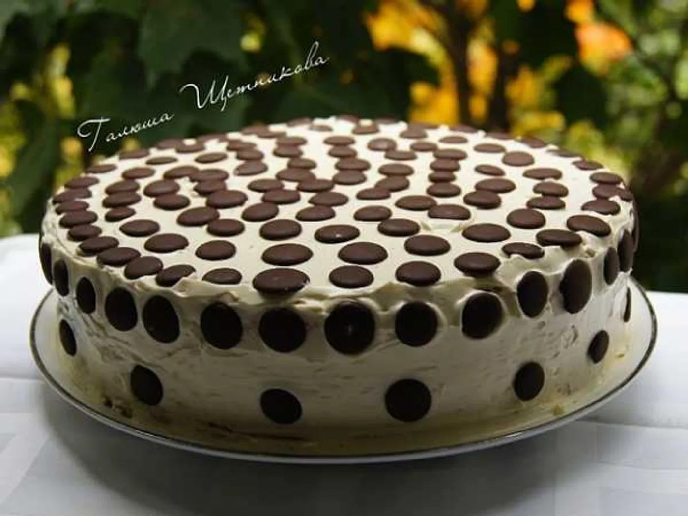 Elizabeth's biscuit cake with condensed recipe