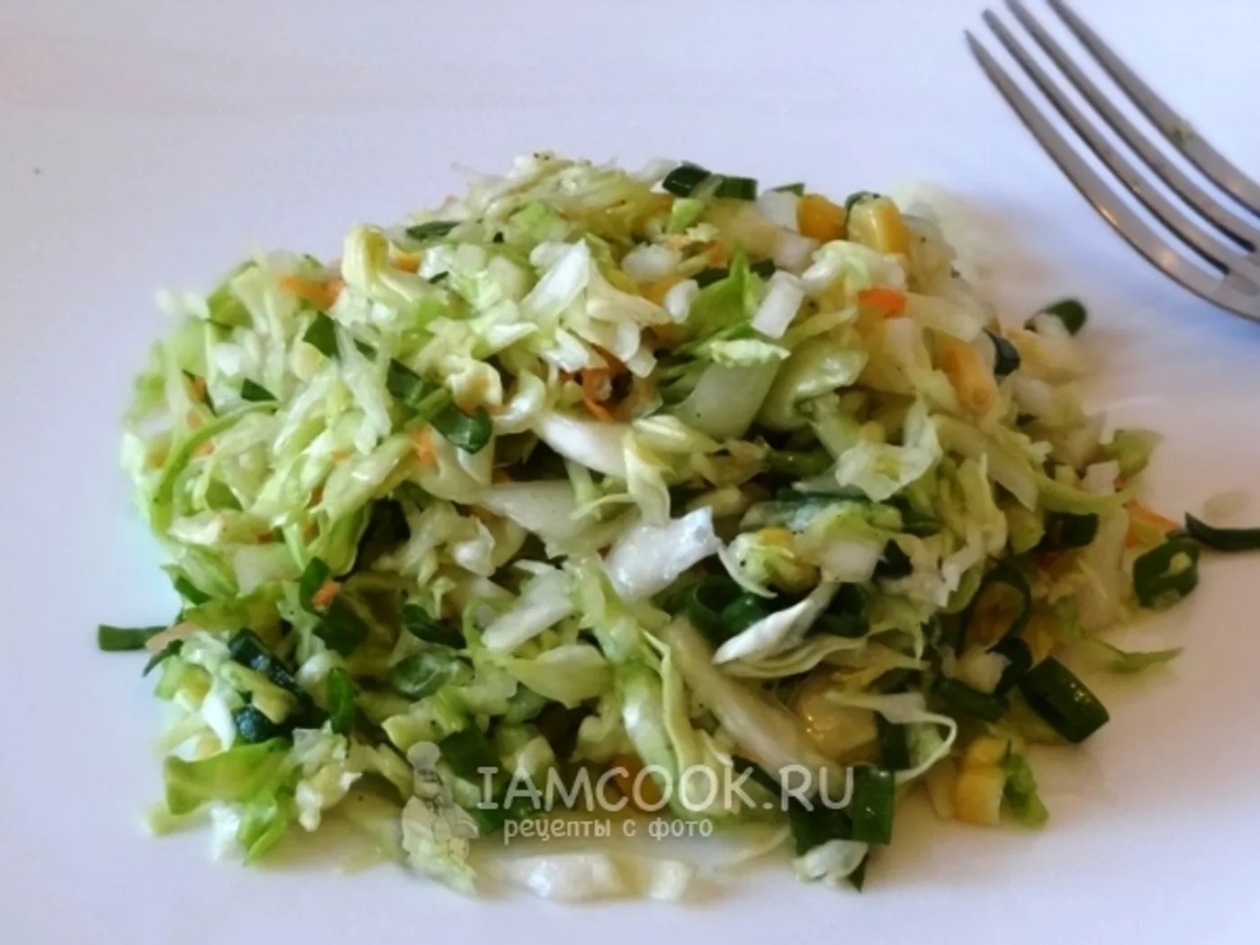 Light cabbage salad to kebabs recipe
