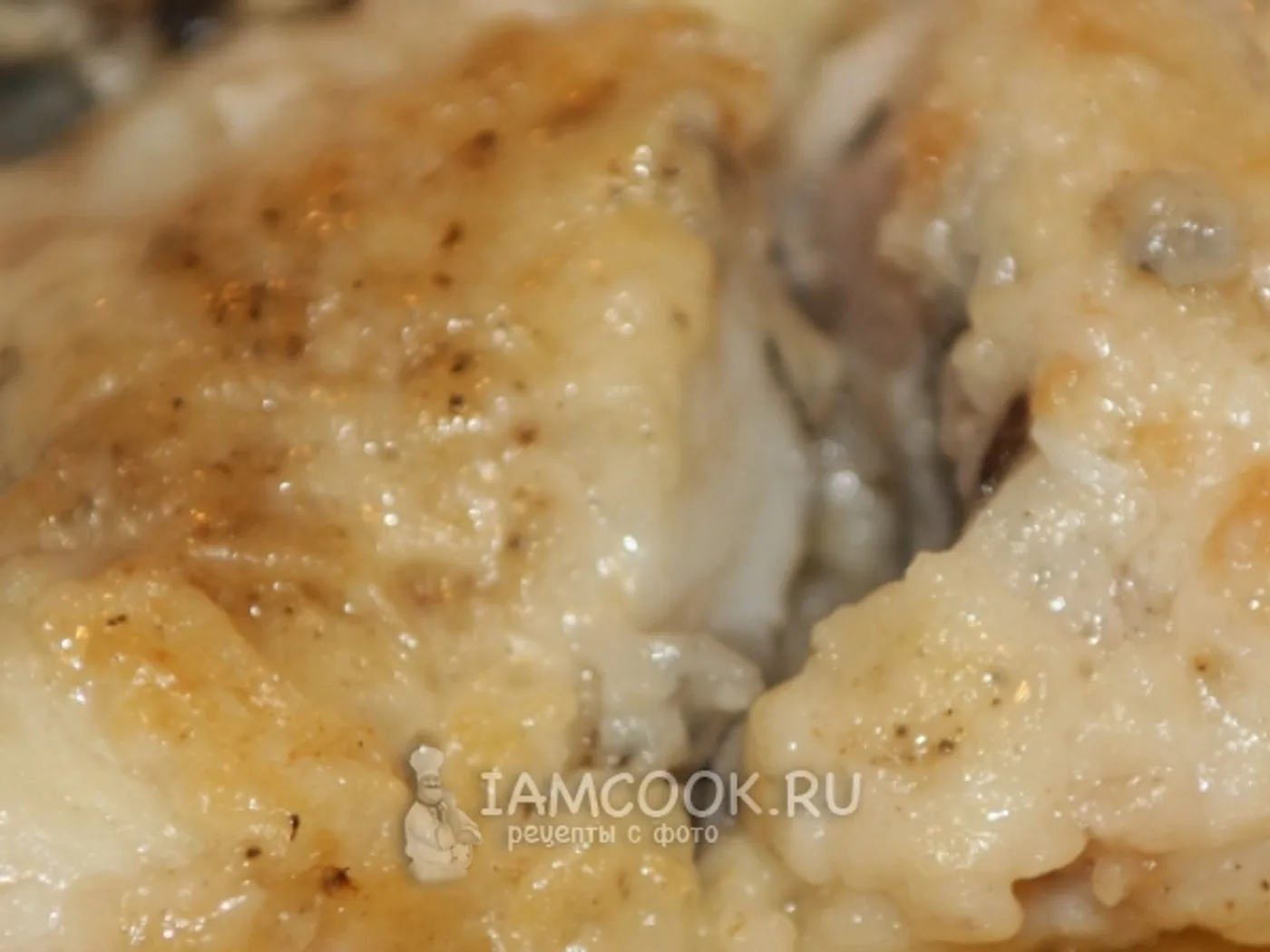 Macrurus fried recipe