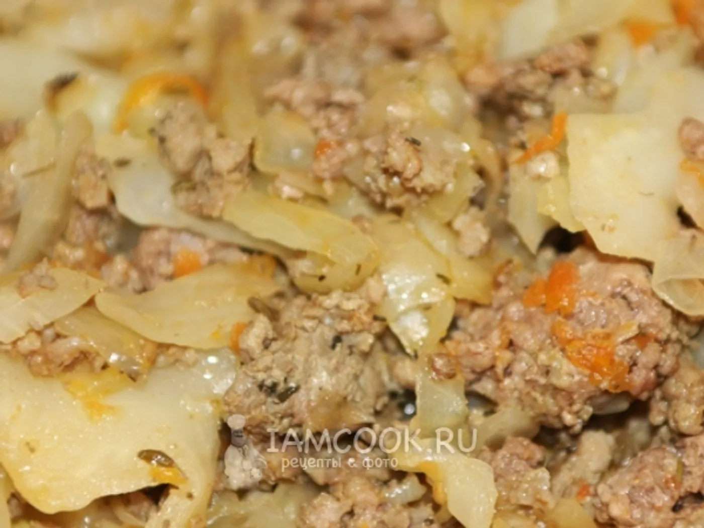 minced cabbage stew recipe