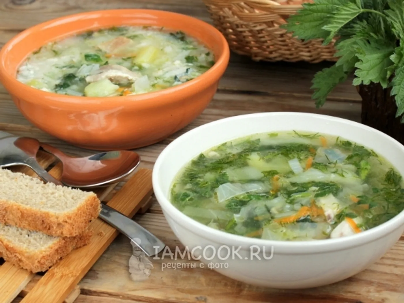 Nettle soup on chicken broth recipe
