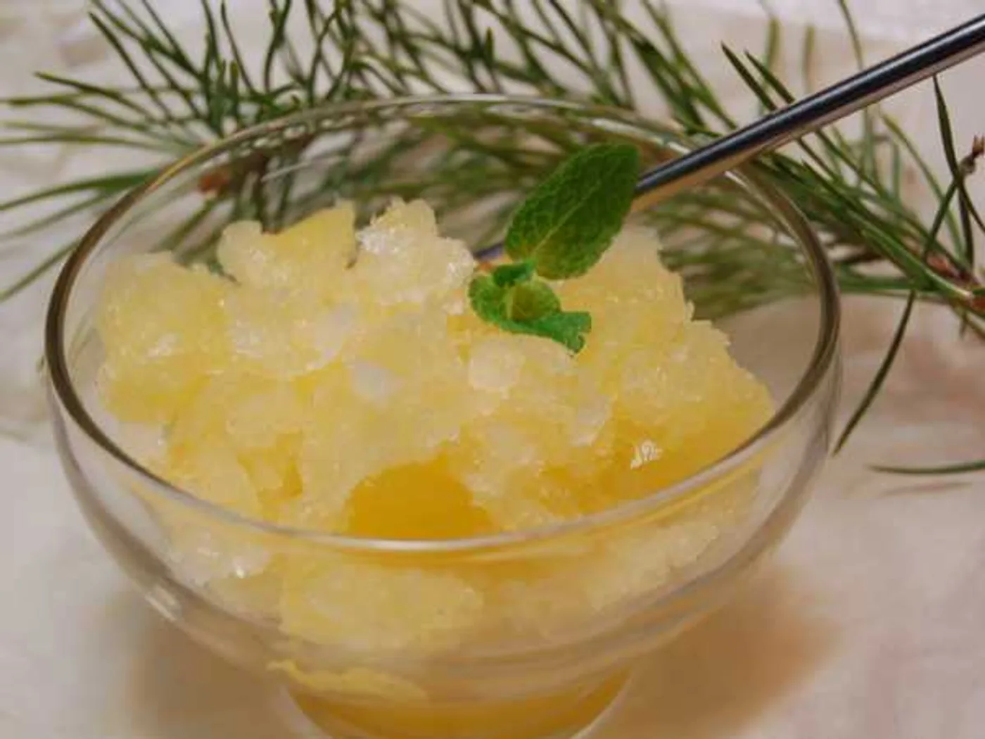 Orange sorbet recipe