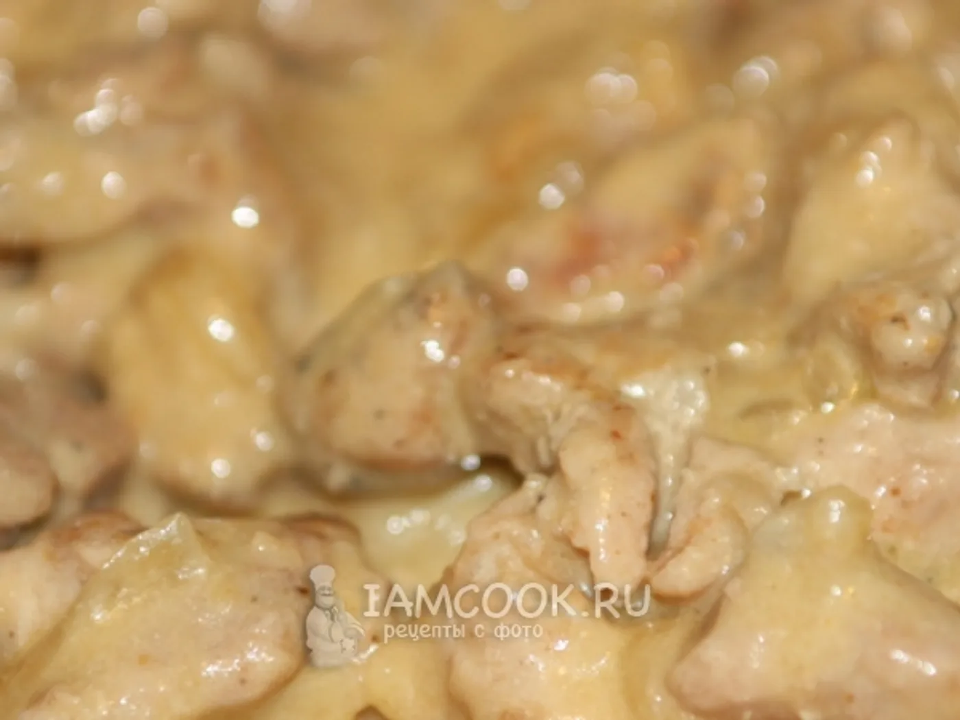 Pork beef strogans recipe