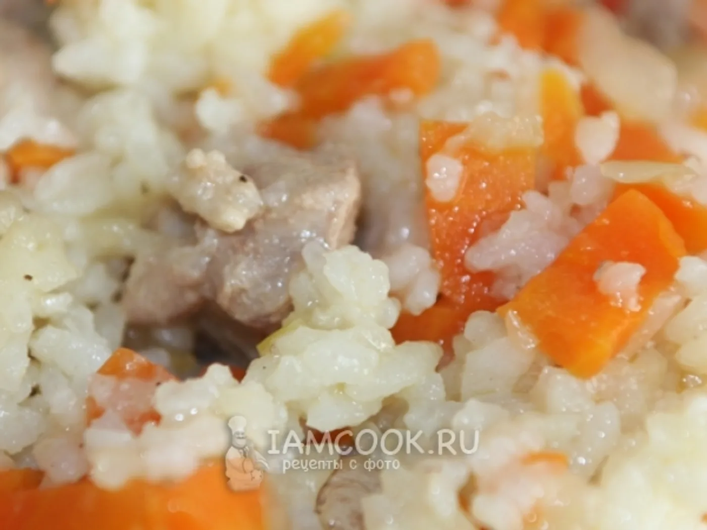 Pork potted pilaf recipe