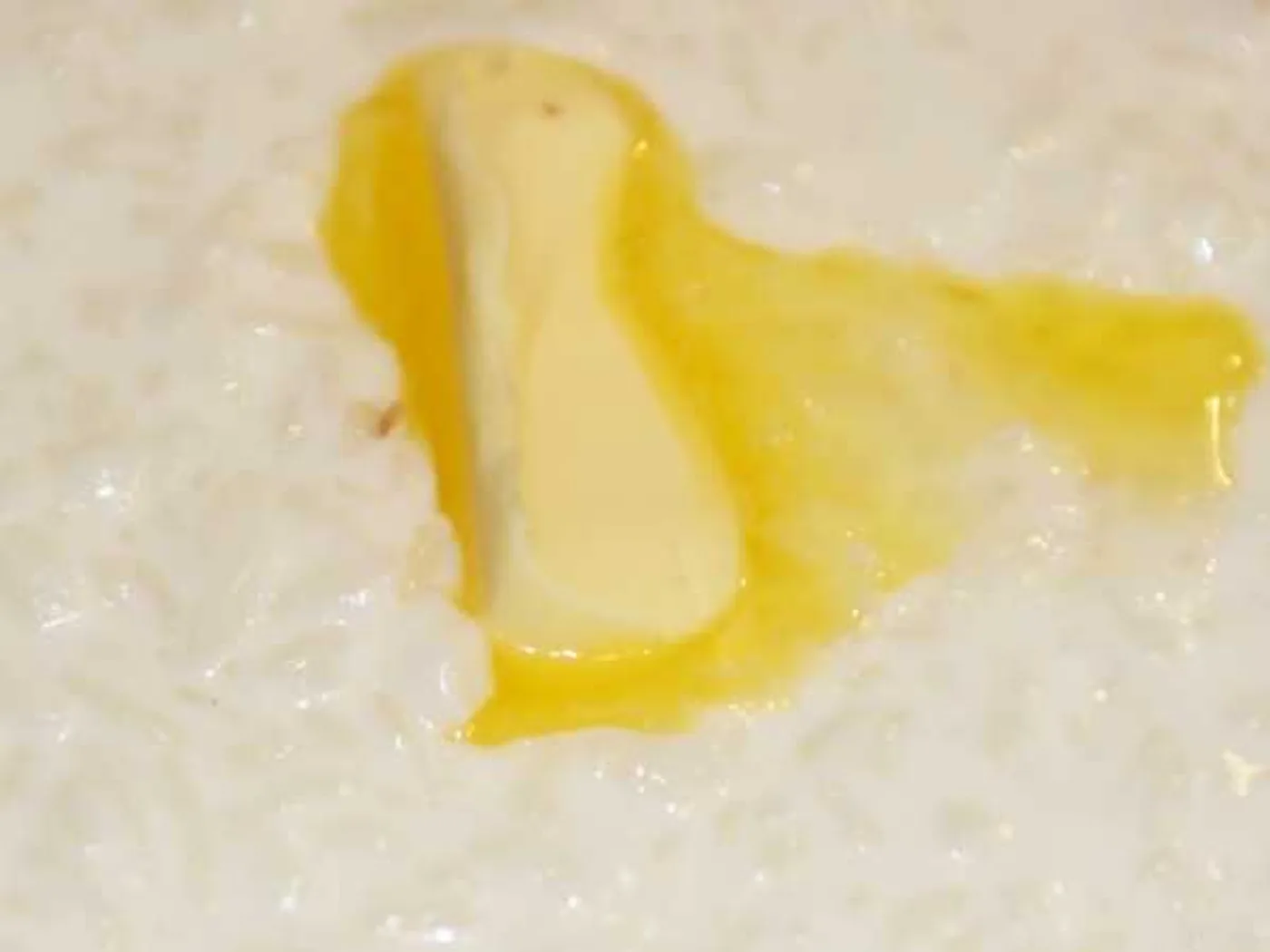 Rice porridge on milk recipe