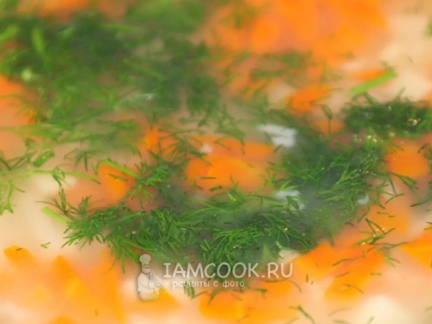 Rice soup with turkey recipe