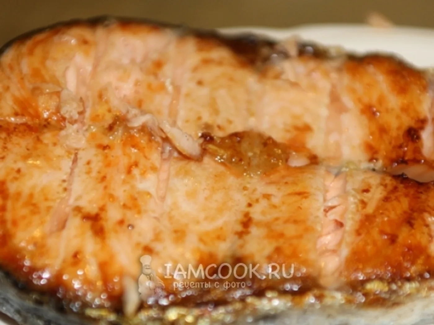 Salmon steaks on coals recipe