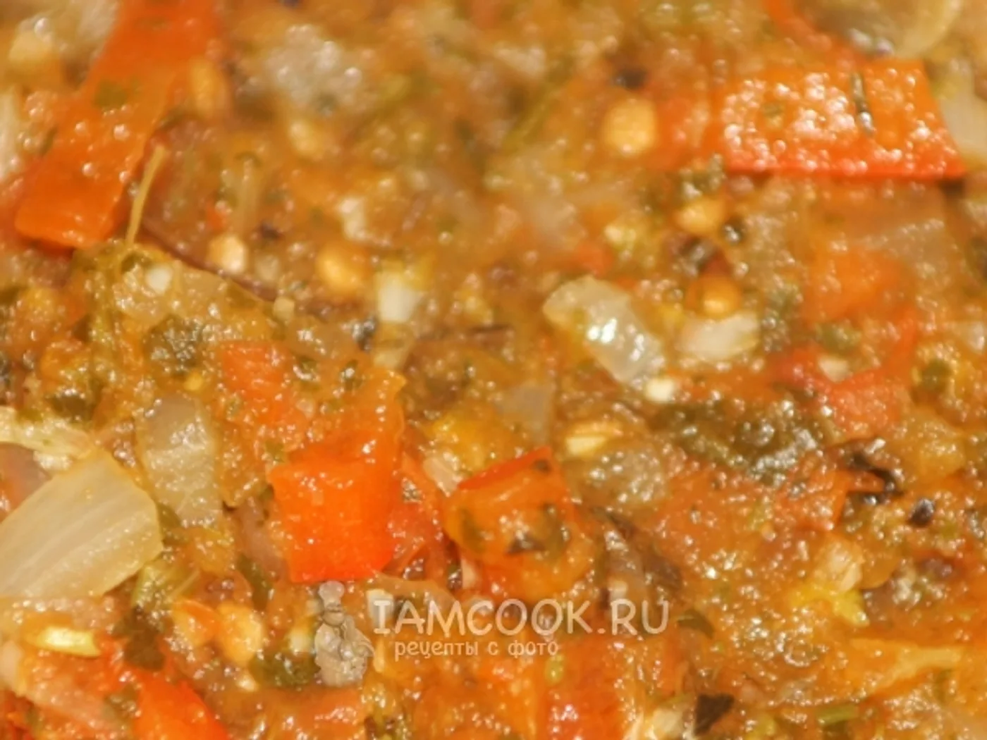 Spaghetti sauce made from tomato recipe
