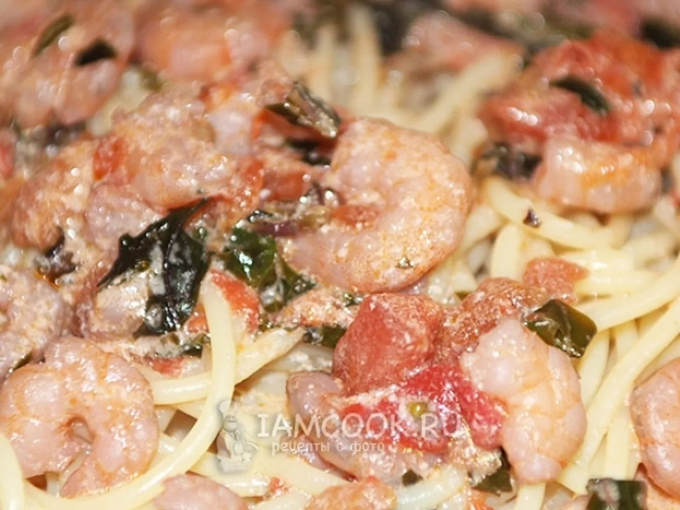 Spaghetti with shrimp in cream sauce recipe