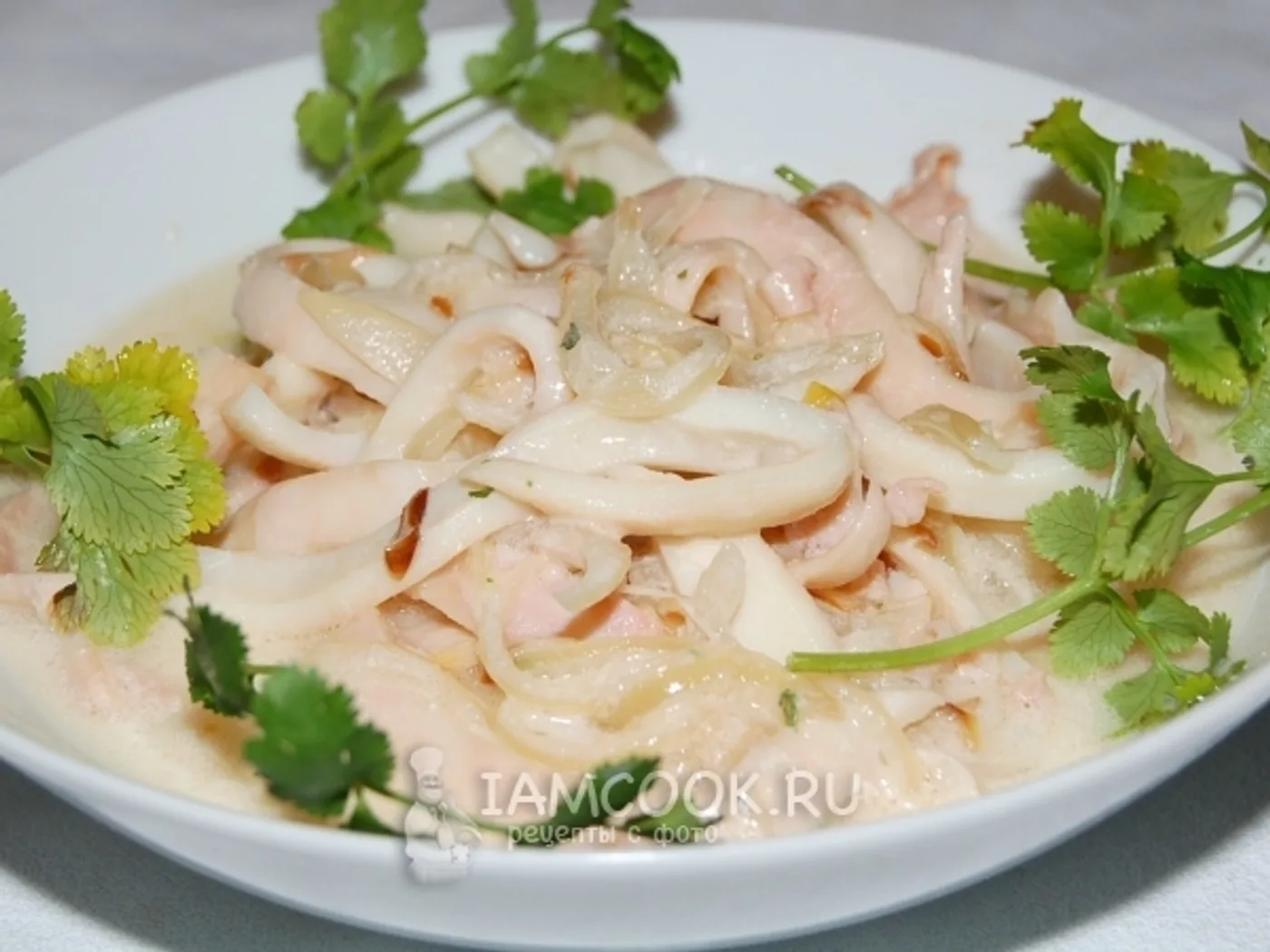 Squid stewed in sour cream recipe