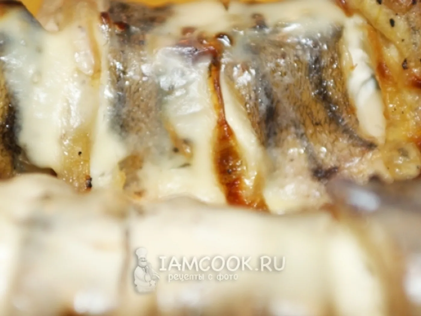 Sudak baked in the oven recipe