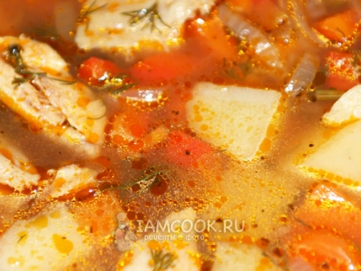 Tomato soup from turkey wing recipe